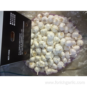 Fresh Pure White Garlic Crop 2019